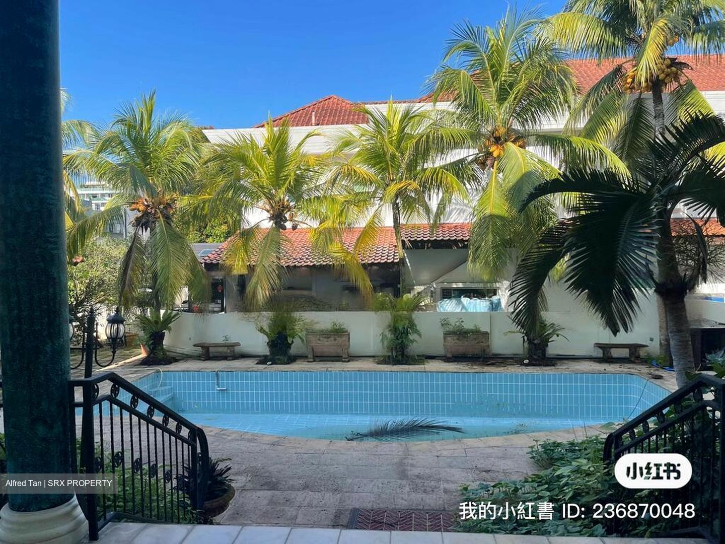 Camden Park (D11), Detached #421401081